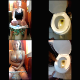 A pretty girl takes a shit into a toilet in 6 scenes. Some audible, but subtle pooping sounds with product shown afterward. Nice bonus, candid farting scenes thrown in. Vertical format video with some widescreen parts. 156MB, MP4 file. Over 17 minutes.